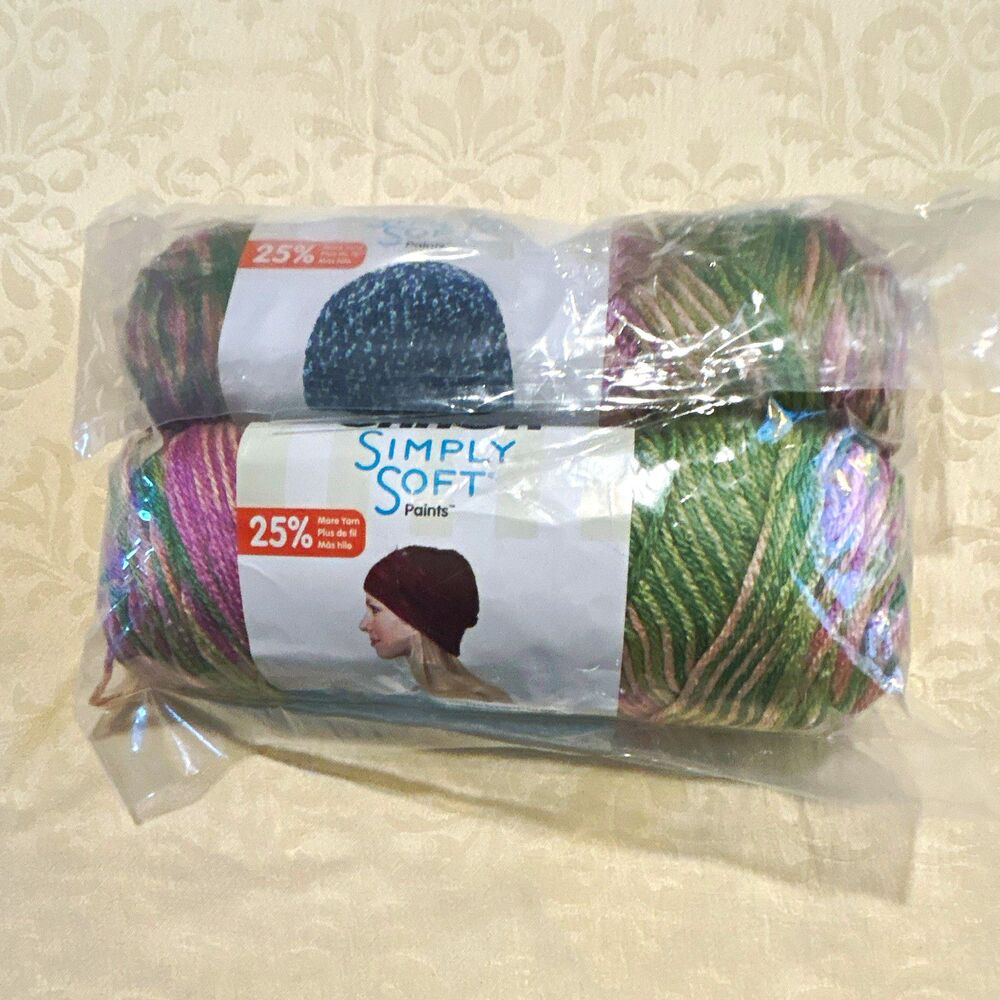 Caron Simply Soft Paints Striping Acrylic Worsted Yarn Rose Garden 2 Skeins NEW